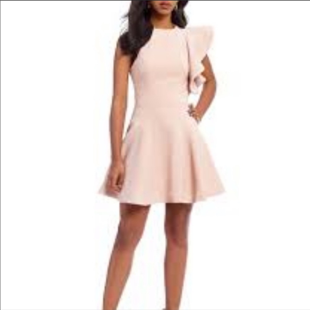 NWT C/Meo Collective Blush Pink Ruffle Fit and Flare Dress